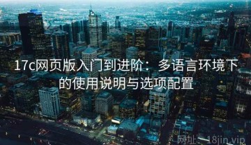 17c网页版入门到进阶：多语言环境下的使用说明与选项配置
