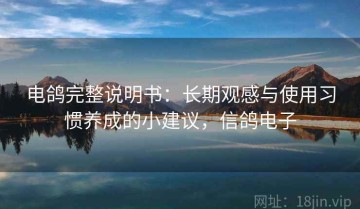 电鸽完整说明书：长期观感与使用习惯养成的小建议，信鸽电子