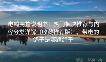 电鸽完整说明书：热门板块推荐与内容分类详解（收藏推荐版），带电的鸽子是哪路鸽子