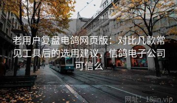 老用户复盘电鸽网页版：对比几款常见工具后的选用建议，信鸽电子公司可信么