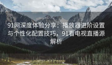 91网深度体验分享：播放器进阶设置与个性化配置技巧，91看电视直播源解析