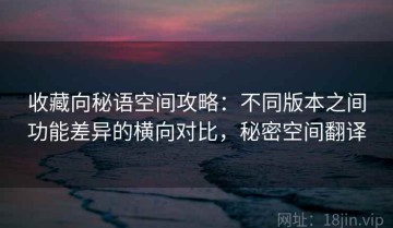 收藏向秘语空间攻略：不同版本之间功能差异的横向对比，秘密空间翻译