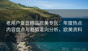 老用户复盘精品欧美专区：年度热点内容盘点与趋势走向分析，欧美资料