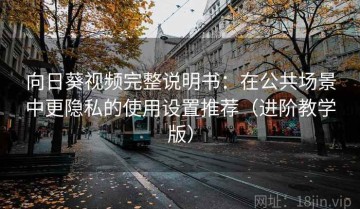 向日葵视频完整说明书：在公共场景中更隐私的使用设置推荐（进阶教学版）
