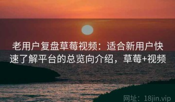 老用户复盘草莓视频：适合新用户快速了解平台的总览向介绍，草莓+视频