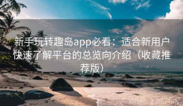 新手玩转趣岛app必看：适合新用户快速了解平台的总览向介绍（收藏推荐版）
