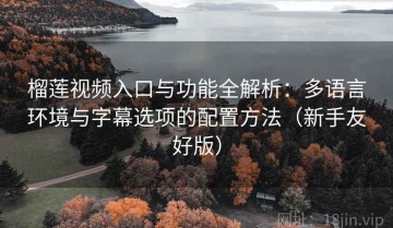 榴莲视频入口与功能全解析：多语言环境与字幕选项的配置方法（新手友好版）