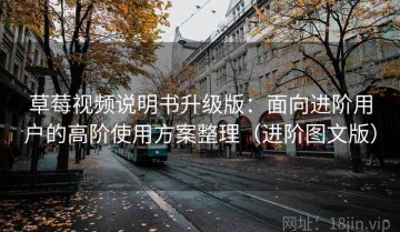 草莓视频说明书升级版：面向进阶用户的高阶使用方案整理（进阶图文版）