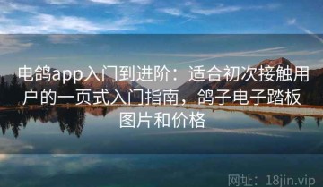 电鸽app入门到进阶：适合初次接触用户的一页式入门指南，鸽子电子踏板图片和价格