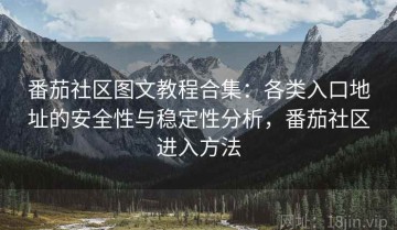 番茄社区图文教程合集：各类入口地址的安全性与稳定性分析，番茄社区进入方法