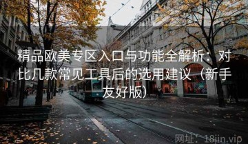 精品欧美专区入口与功能全解析：对比几款常见工具后的选用建议（新手友好版）