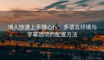 懒人快速上手糖心tv：多语言环境与字幕选项的配置方法