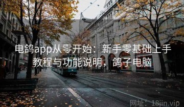 电鸽app从零开始：新手零基础上手教程与功能说明，鸽子电脑