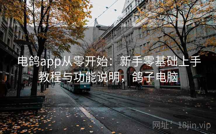 电鸽app从零开始：新手零基础上手教程与功能说明，鸽子电脑