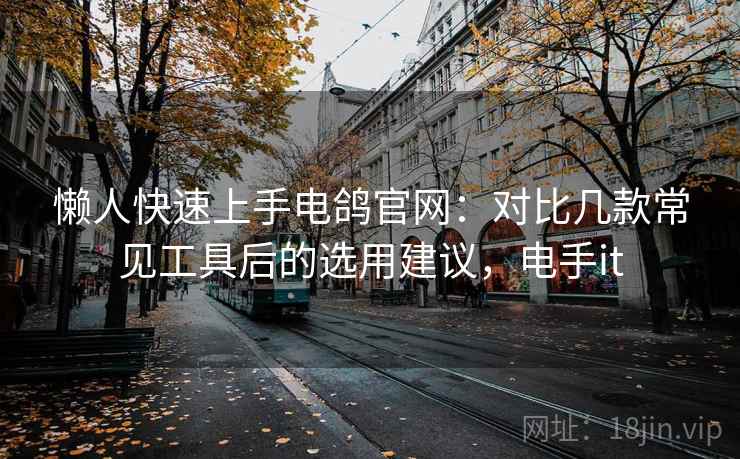 懒人快速上手电鸽官网:对比几款常见工具后的选用建议,电手it 懒人快速上手电鸽官网:对比几款常见工具后的选用建议,电手it