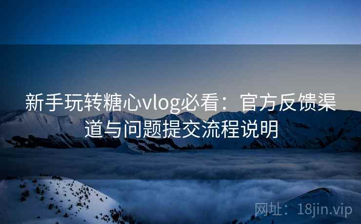 新手玩转糖心vlog必看：官方反馈渠道与问题提交流程说明