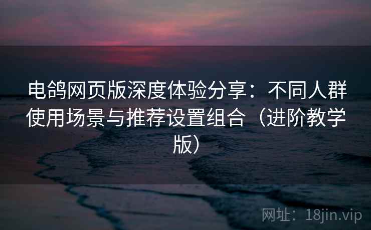 电鸽网页版深度体验分享：不同人群使用场景与推荐设置组合（进阶教学版）
