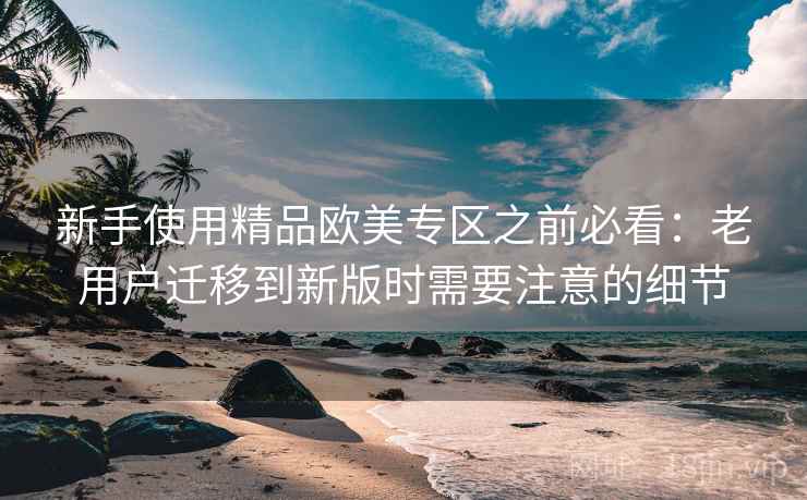 新手使用精品欧美专区之前必看：老用户迁移到新版时需要注意的细节