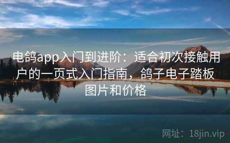 电鸽app入门到进阶:适合初次接触用户的一页式入门指南,鸽子电子踏板图片和价格 电鸽app入门到进阶:适合初次接触用户的一页式入门指南,鸽子电子踏板图片和价格