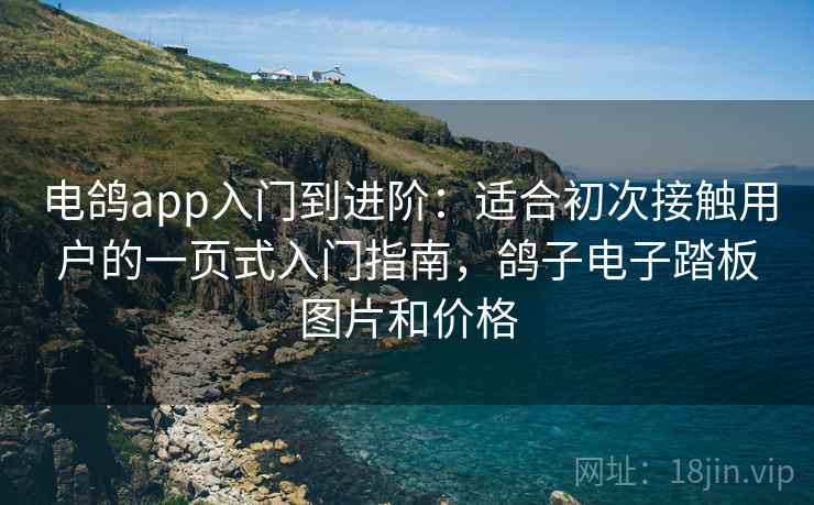 电鸽app入门到进阶:适合初次接触用户的一页式入门指南,鸽子电子踏板图片和价格 电鸽app入门到进阶:适合初次接触用户的一页式入门指南,鸽子电子踏板图片和价格