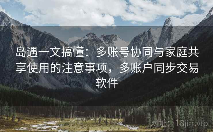 岛遇一文搞懂:多账号协同与家庭共享使用的注意事项,多账户同步交易软件 岛遇一文搞懂:多账号协同与家庭共享使用的注意事项,多账户同步交易软件