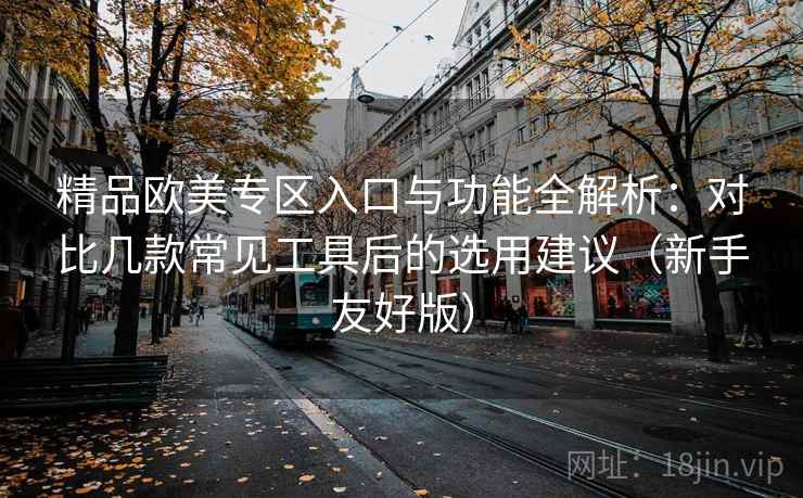 精品欧美专区入口与功能全解析:对比几款常见工具后的选用建议(新手友好版) 精品欧美专区入口与功能全解析:对比几款常见工具后的选用建议(新手友好版)
