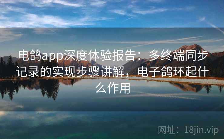 电鸽app深度体验报告:多终端同步记录的实现步骤讲解,电子鸽环起什么作用 电鸽app深度体验报告:多终端同步记录的实现步骤讲解,电子鸽环起什么作用