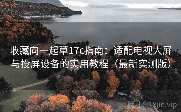 收藏向一起草17c指南：适配电视大屏与投屏设备的实用教程（最新实测版）